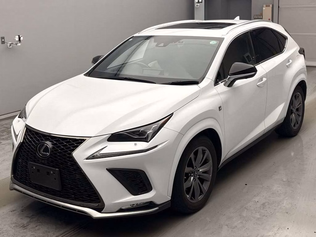 LEXUS NX300