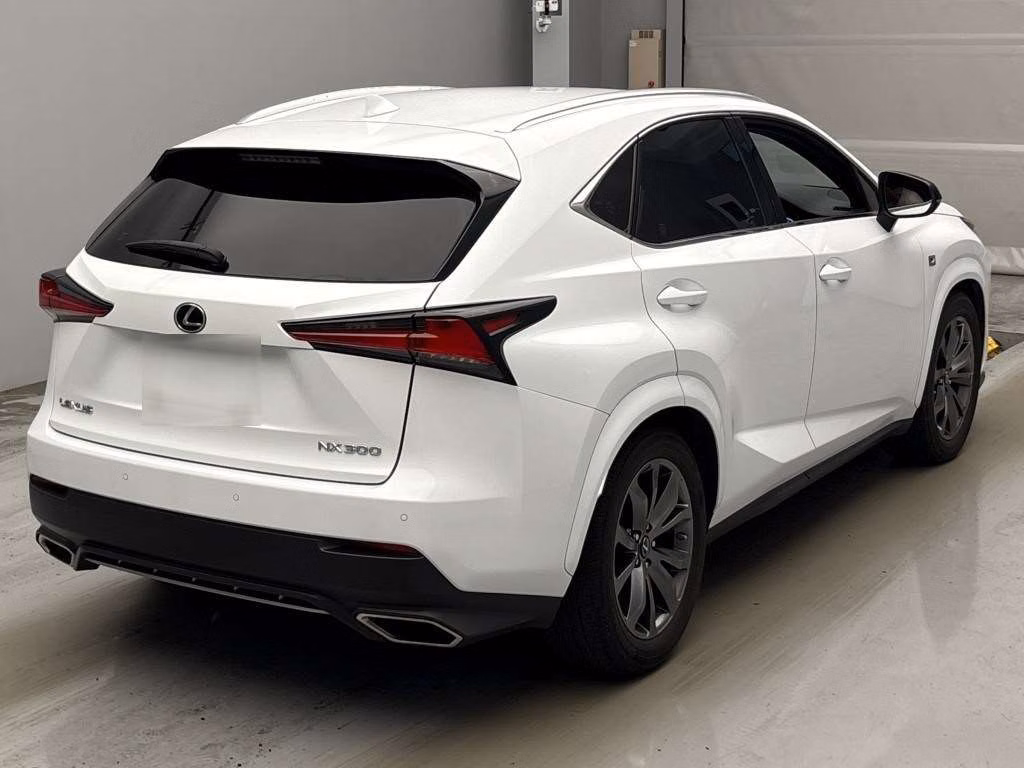 LEXUS NX300