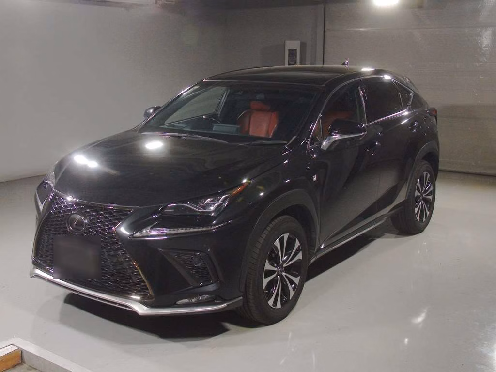 LEXUS NX300