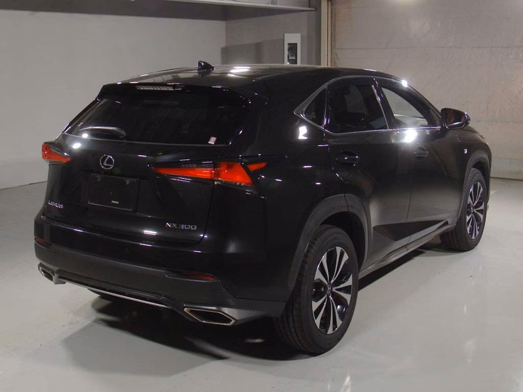 LEXUS NX300