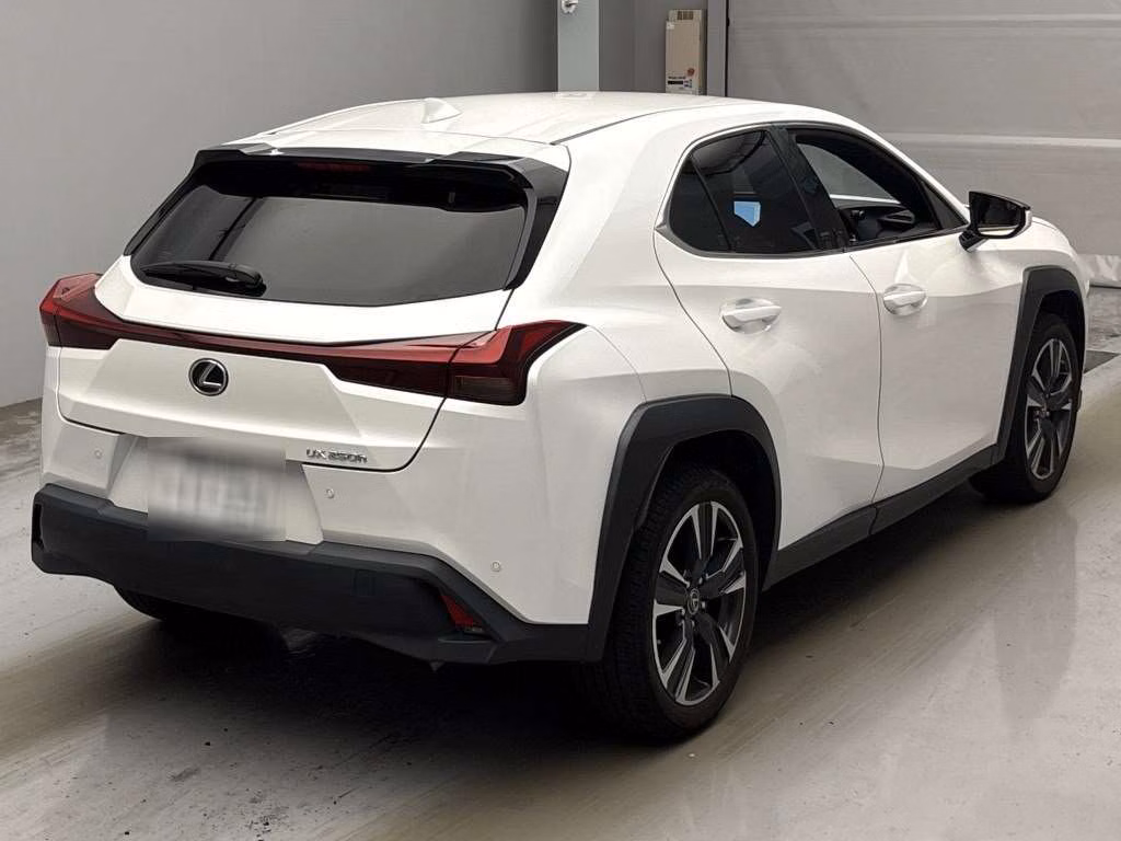 LEXUS UX250H