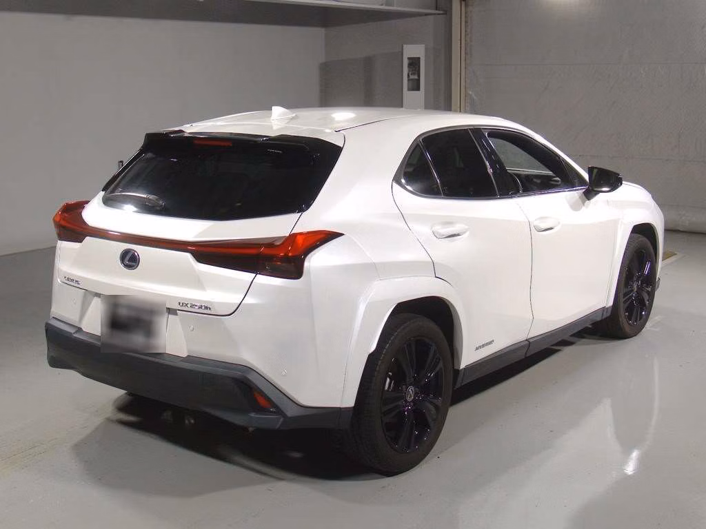 LEXUS UX250H
