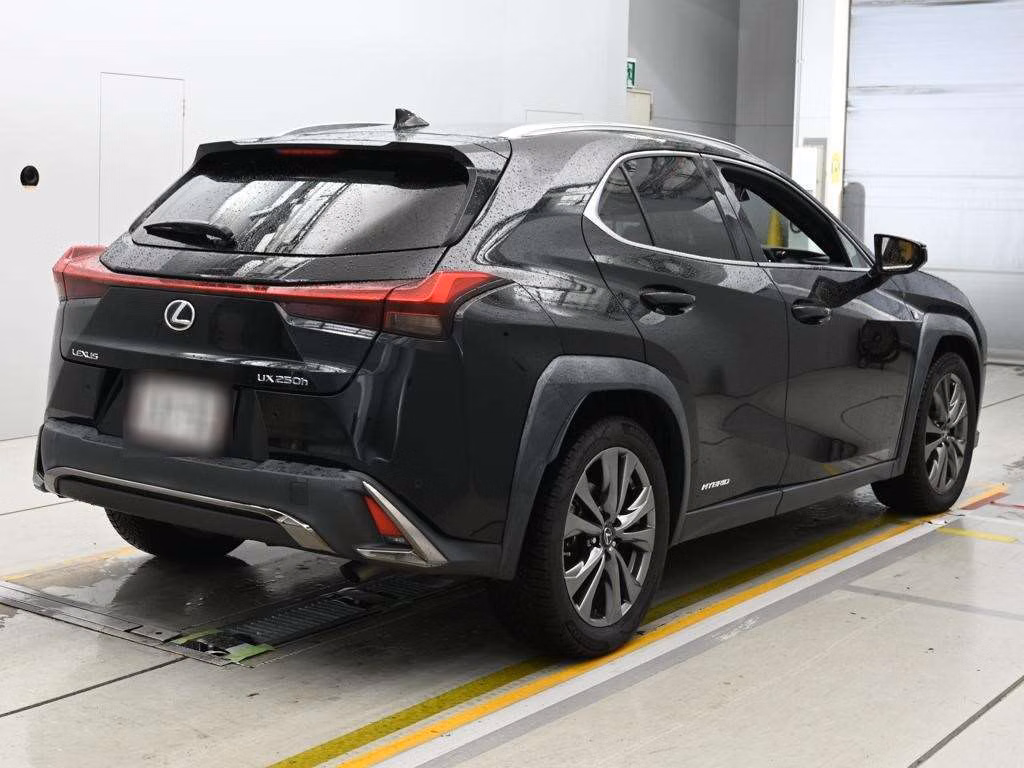 LEXUS UX250H
