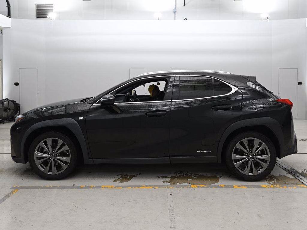 LEXUS UX250H