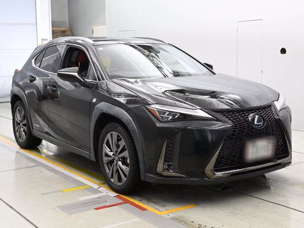 LEXUS UX250H