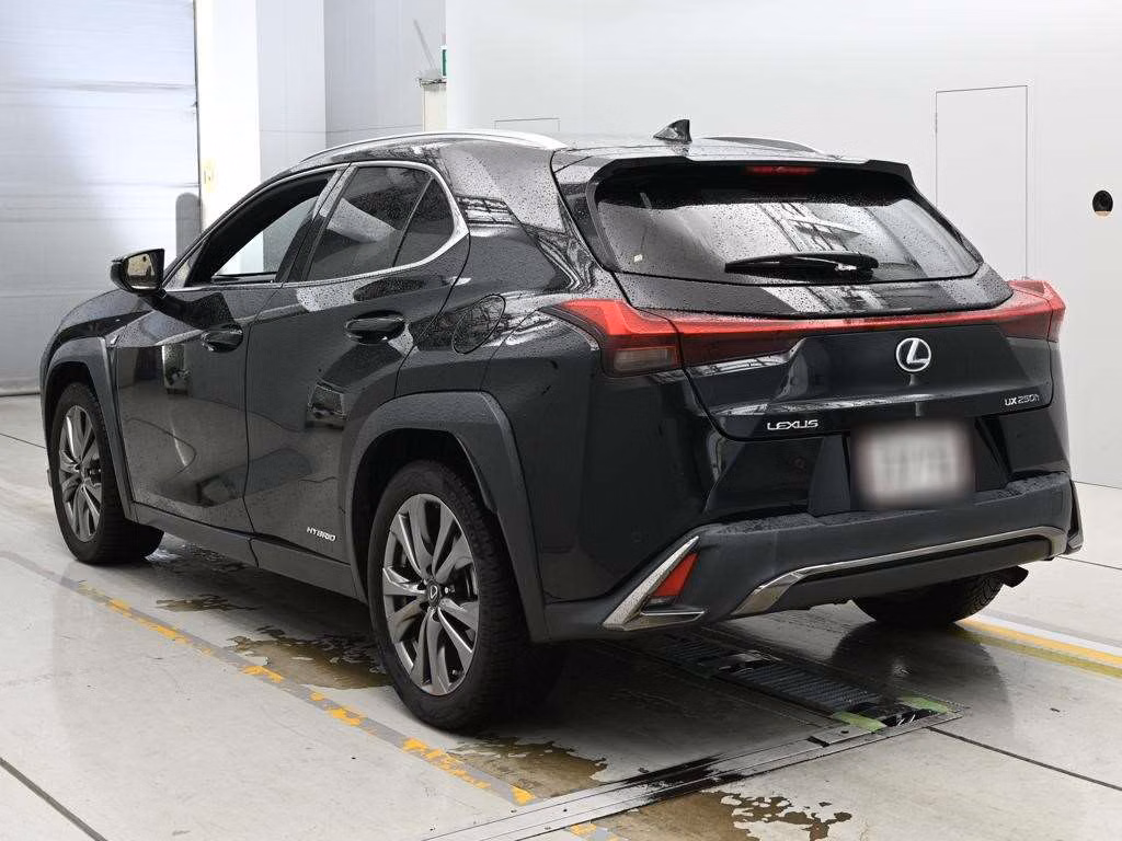LEXUS UX250H