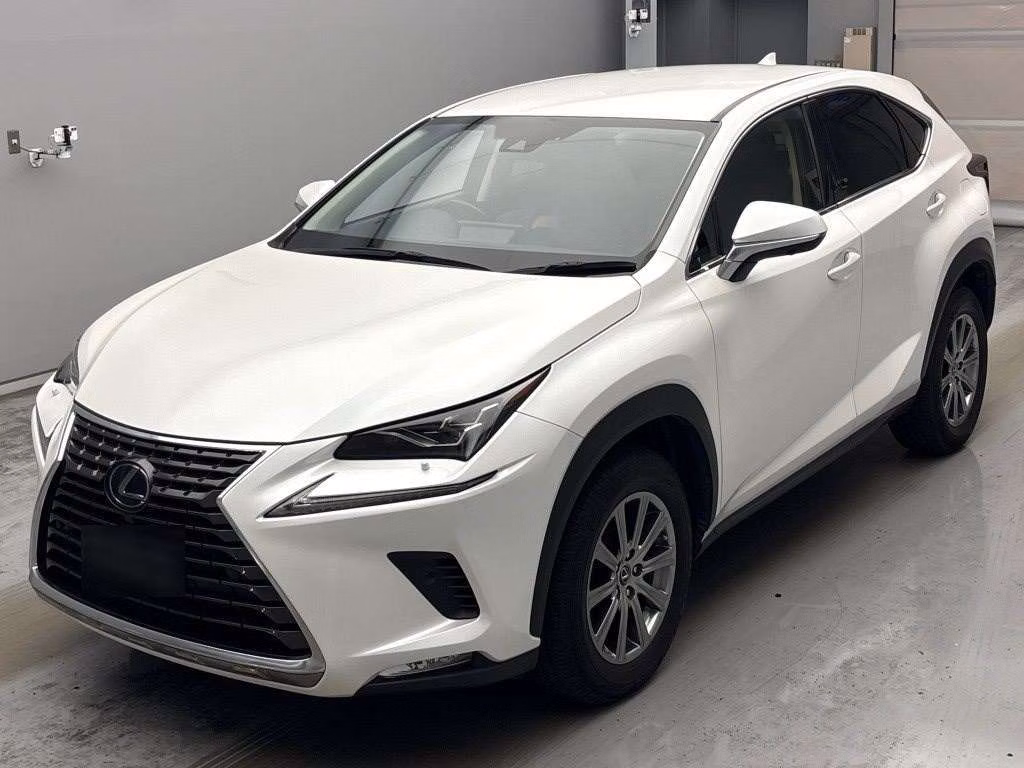 LEXUS NX300
