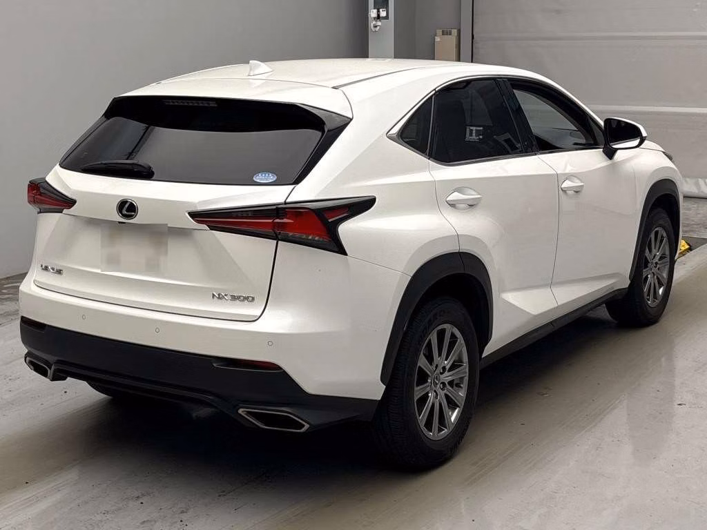 LEXUS NX300