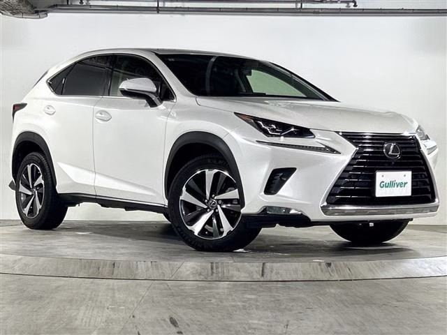 LEXUS NX300