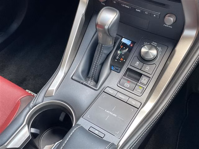 LEXUS NX300