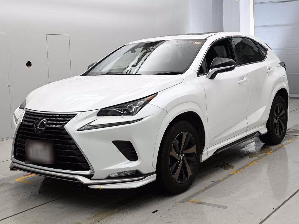 LEXUS NX300