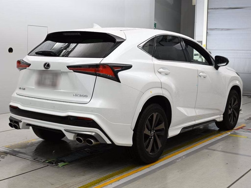 LEXUS NX300
