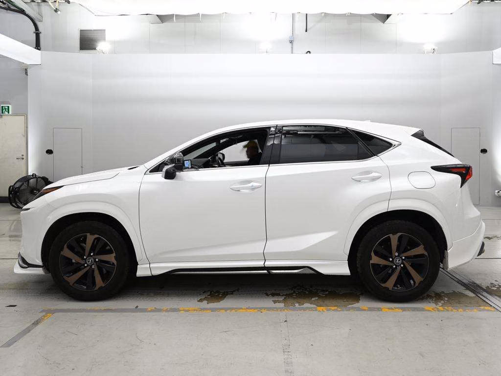 LEXUS NX300