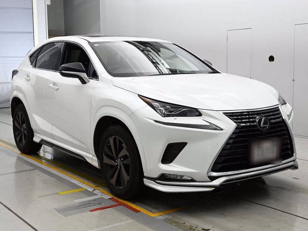 LEXUS NX300