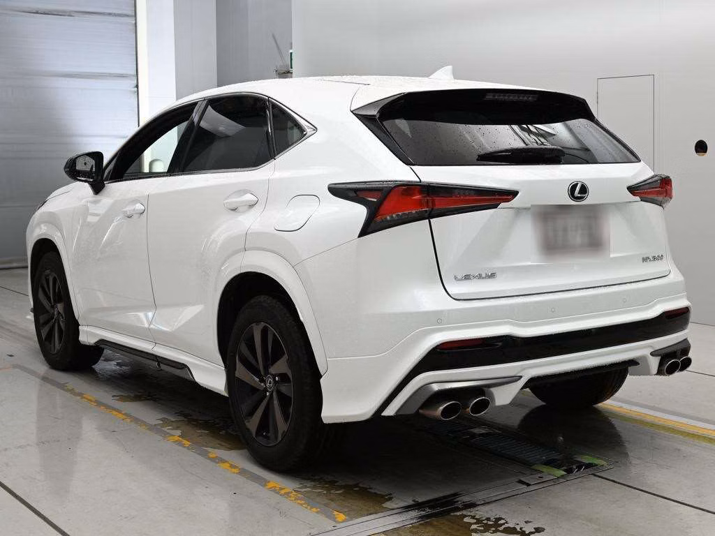 LEXUS NX300