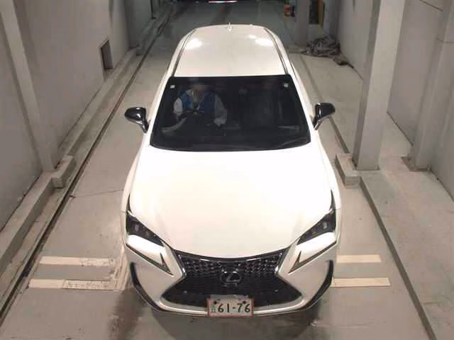 LEXUS NX200T