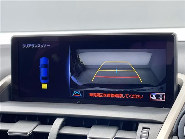 LEXUS NX300