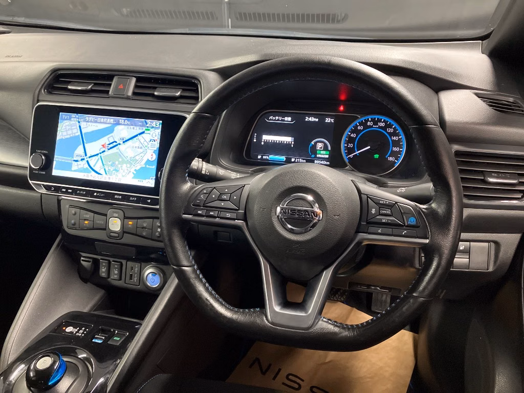 NISSAN LEAF