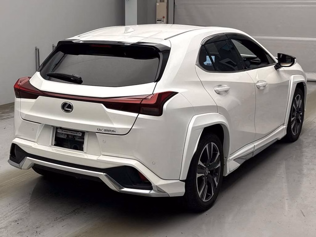 LEXUS UX250H