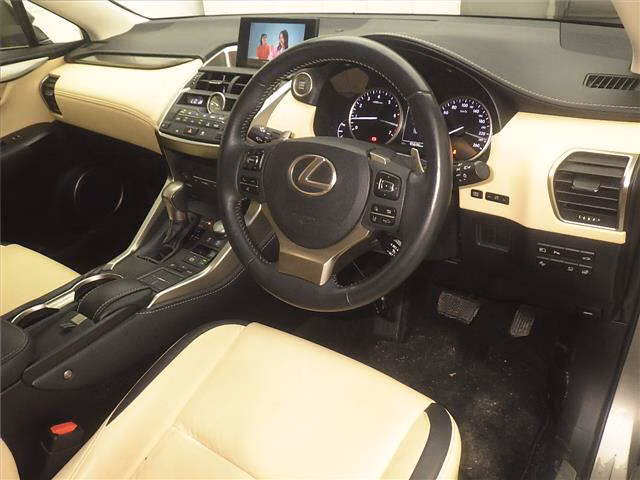 LEXUS NX200T