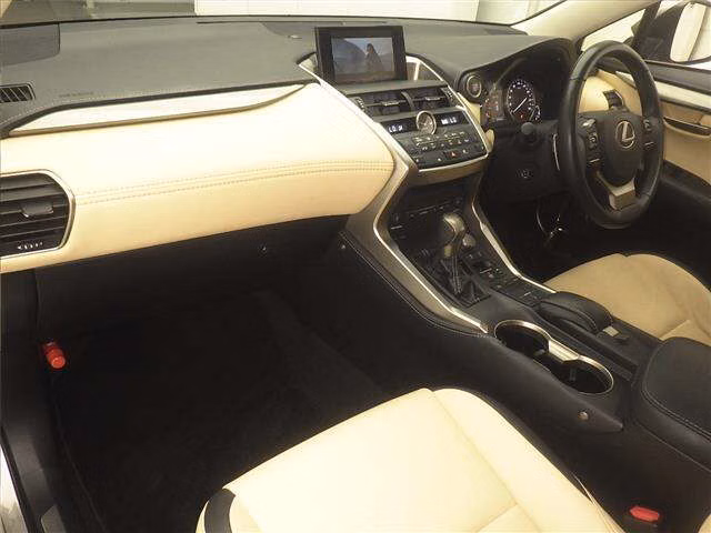 LEXUS NX200T