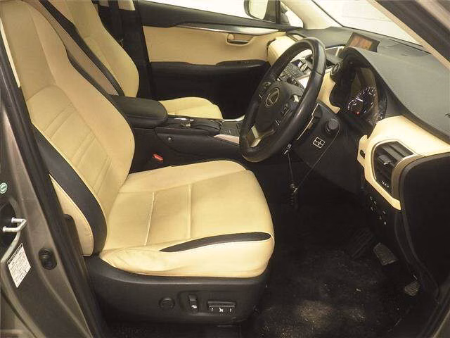 LEXUS NX200T