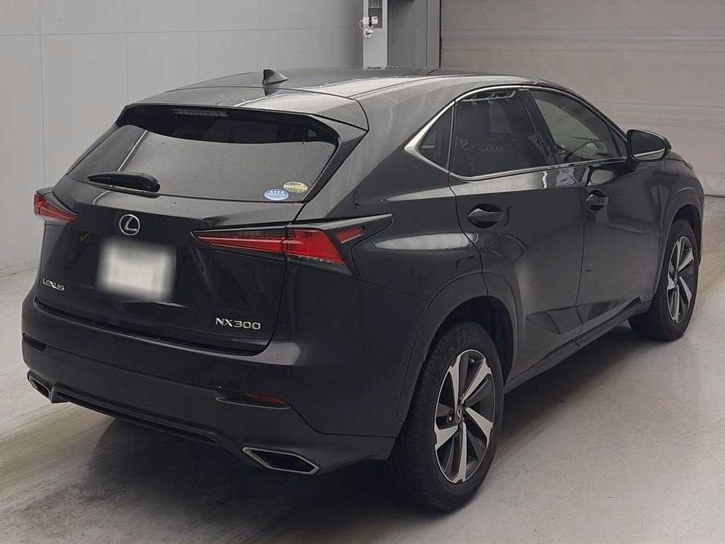 LEXUS NX300
