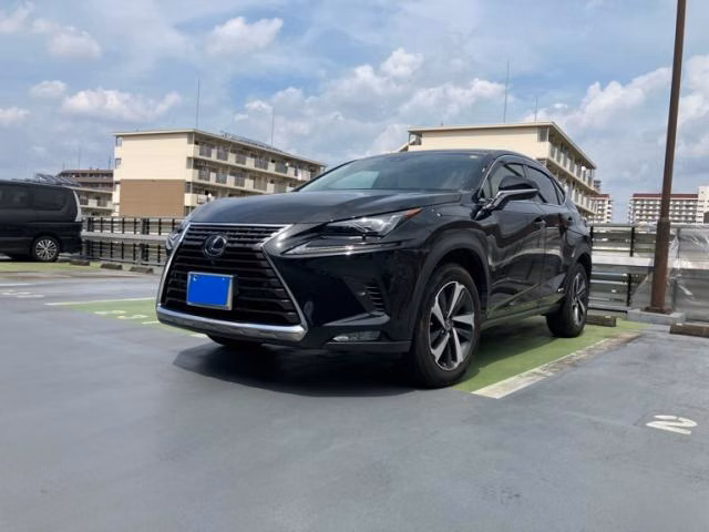 Lexus NX300h