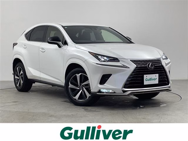 LEXUS NX300