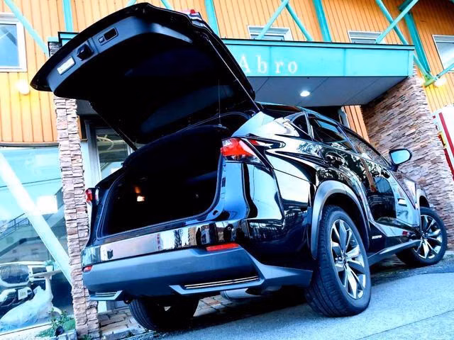 Lexus NX300h