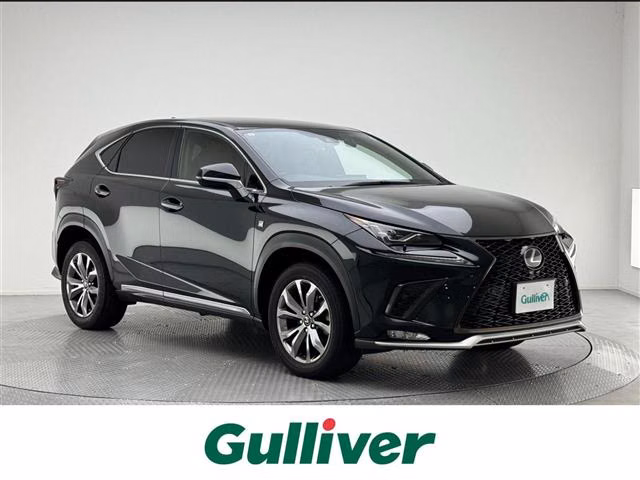 LEXUS NX300