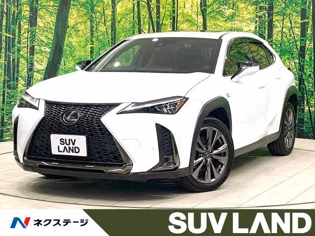 LEXUS UX200