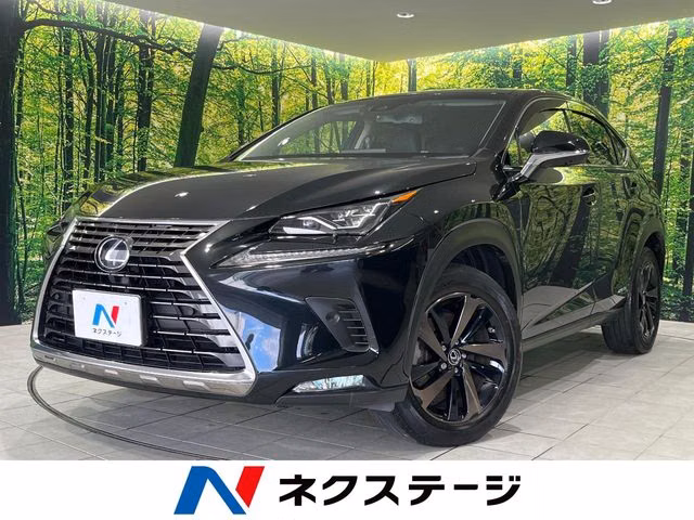 LEXUS NX300