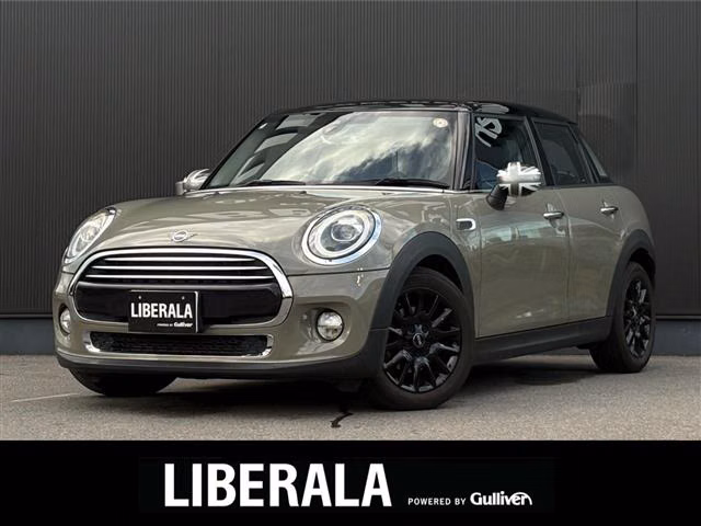 MINI HATCH