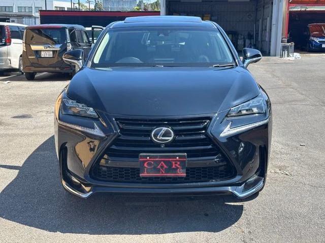 LEXUS NX300
