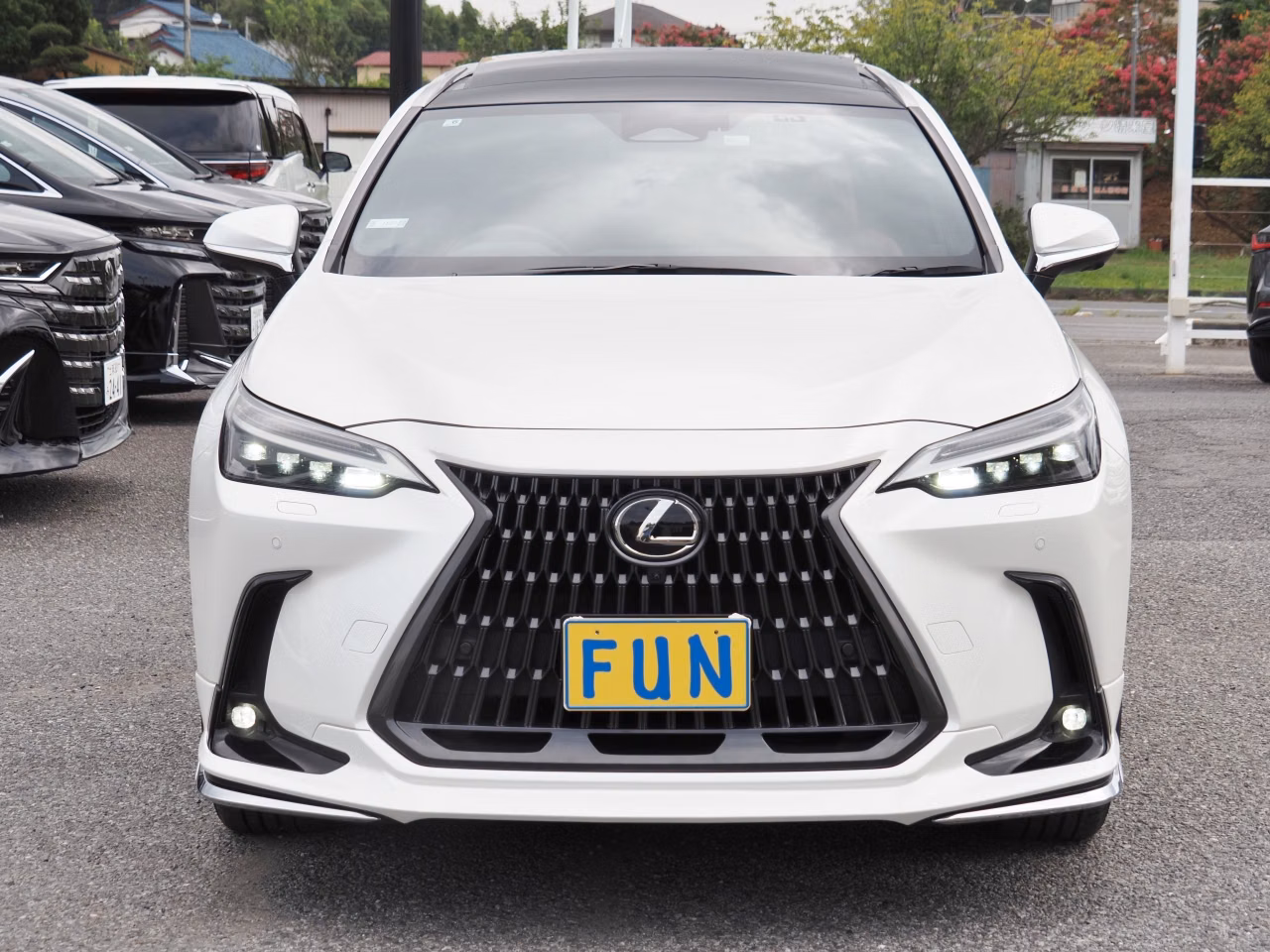 Lexus NX350h