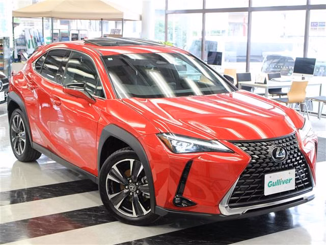 LEXUS UX300H