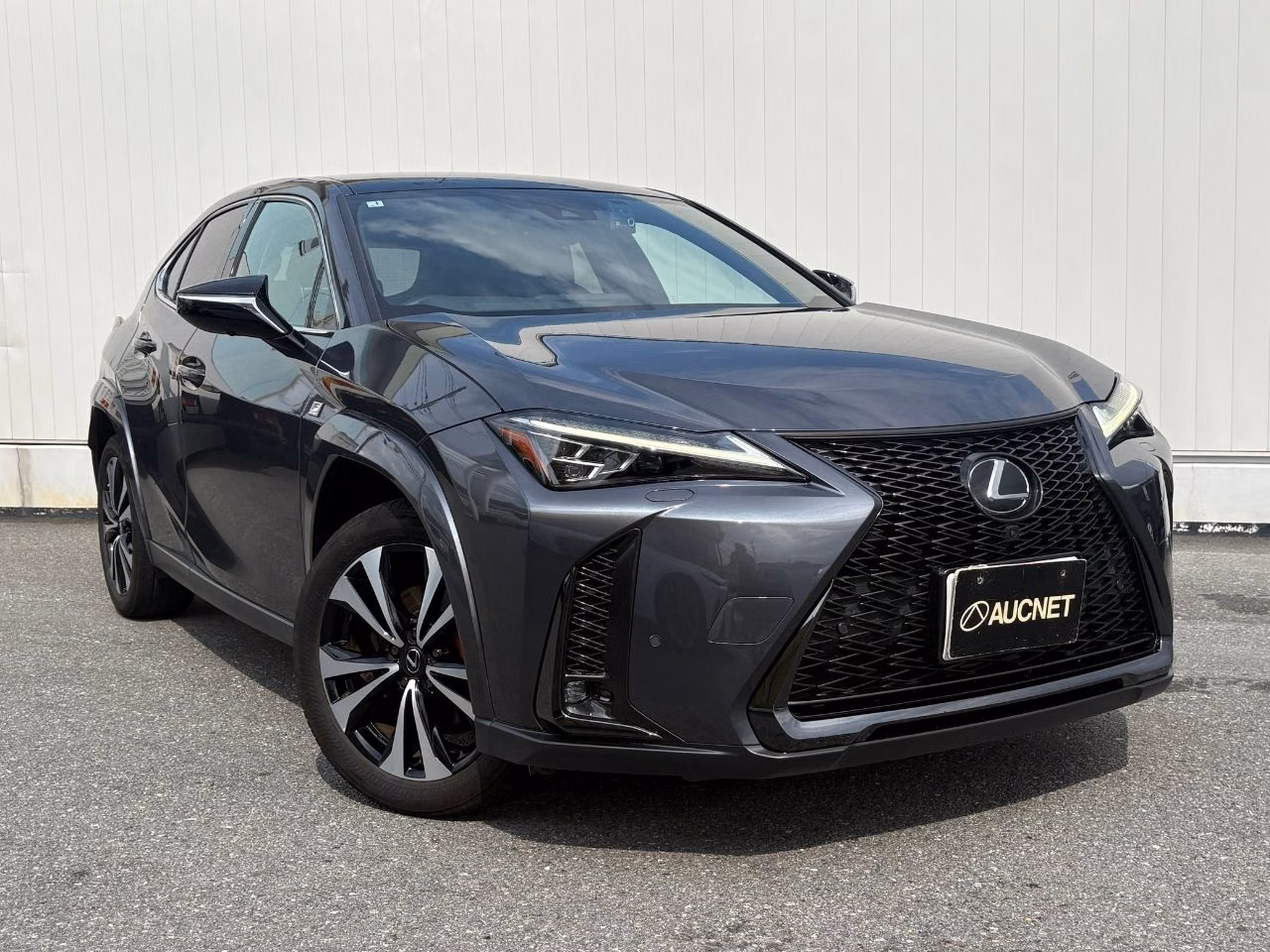 Lexus UX250h
