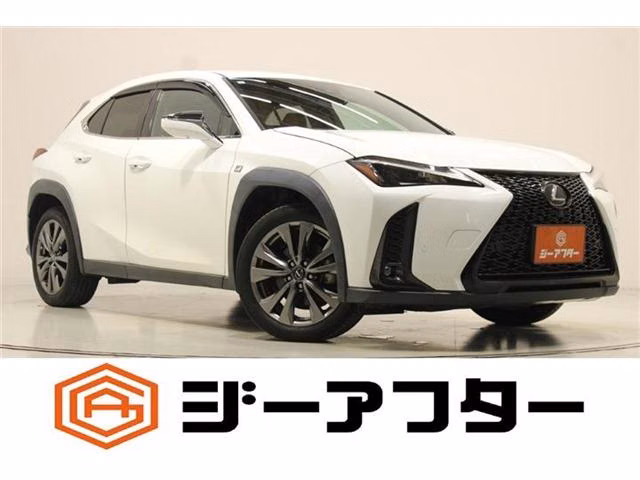LEXUS UX250H