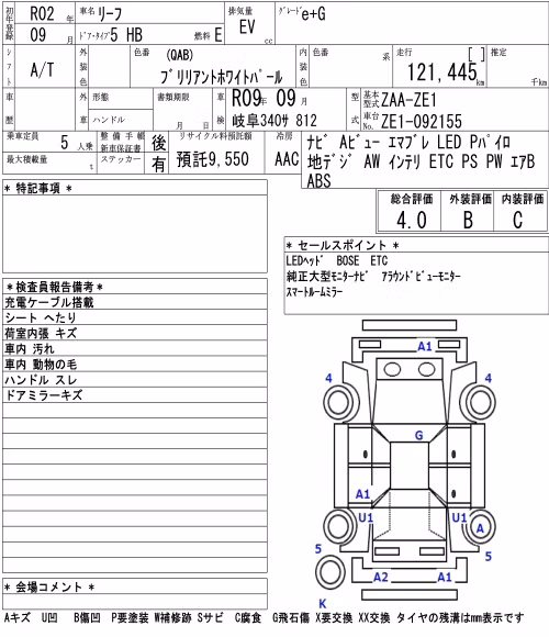 NISSAN LEAF