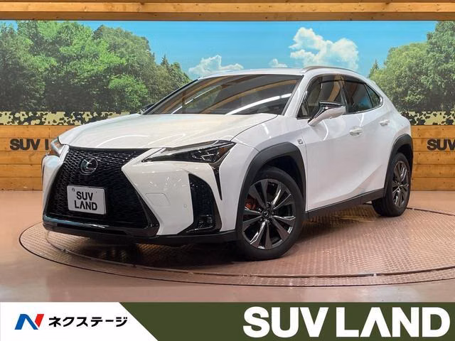 LEXUS UX300H