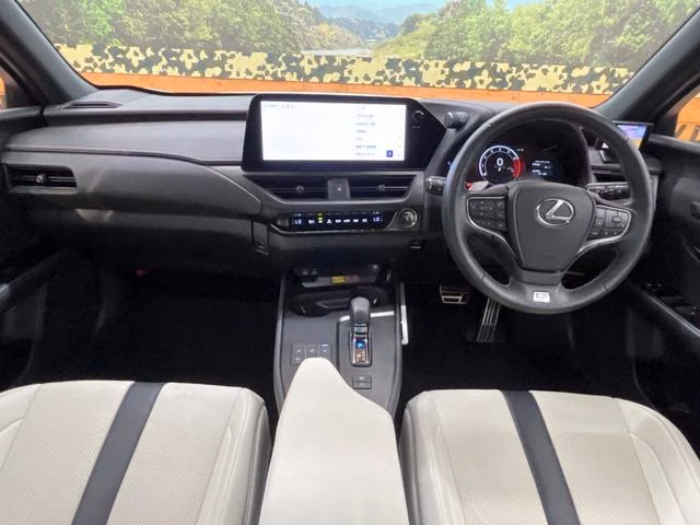LEXUS UX300H