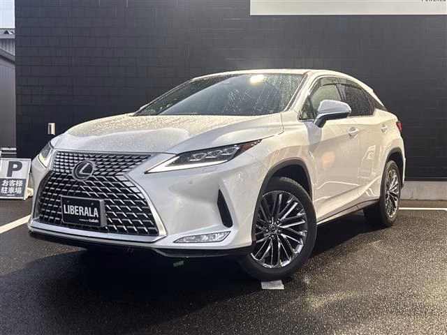LEXUS RX300