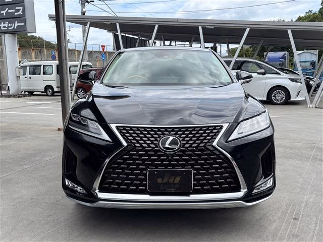 LEXUS RX300