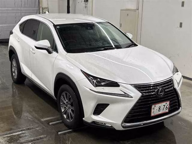 LEXUS NX300