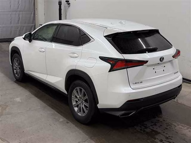 LEXUS NX300