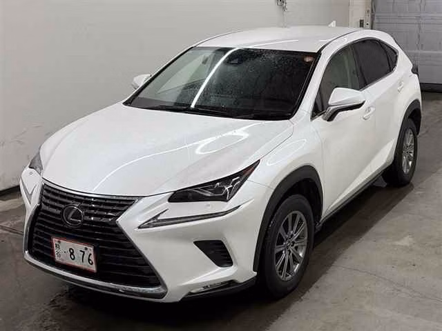 LEXUS NX300