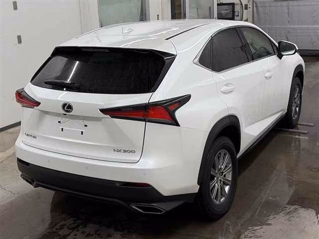 LEXUS NX300