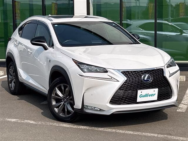 LEXUS NX300