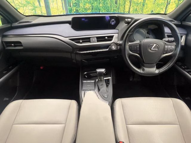LEXUS UX200